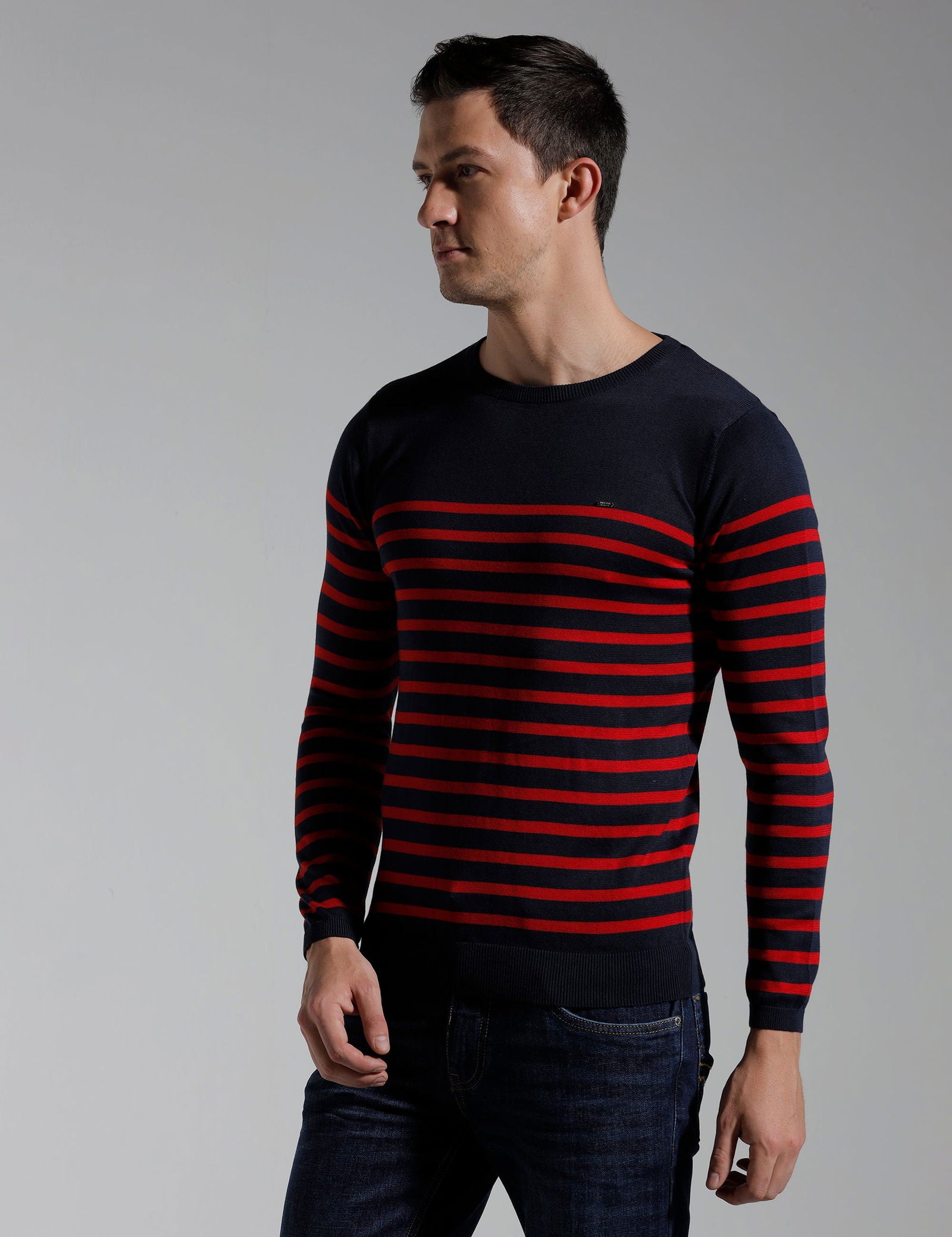 Identiti Full Sleeve Striped Slim Fit Cotton Casual Pull Over T-shirt For Men