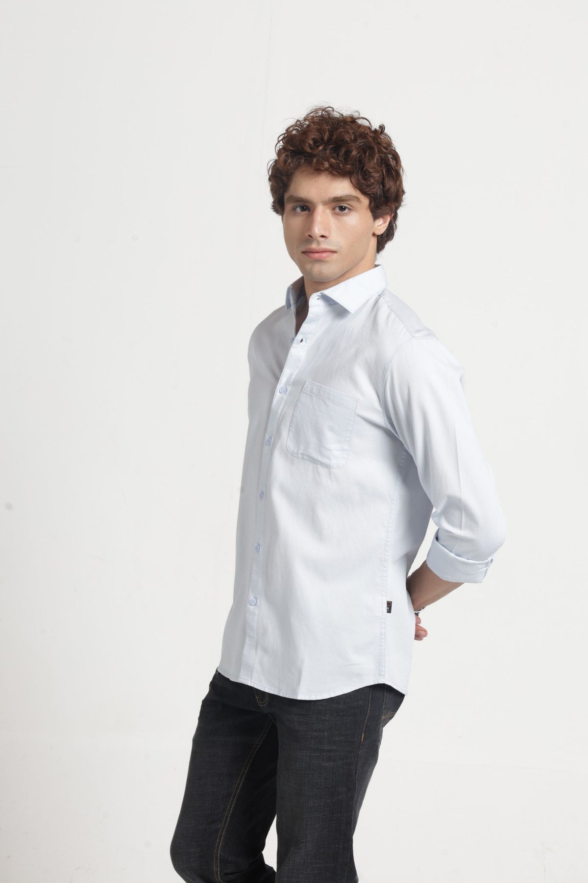 Regular Collar Self Dobby Shirt In Blue