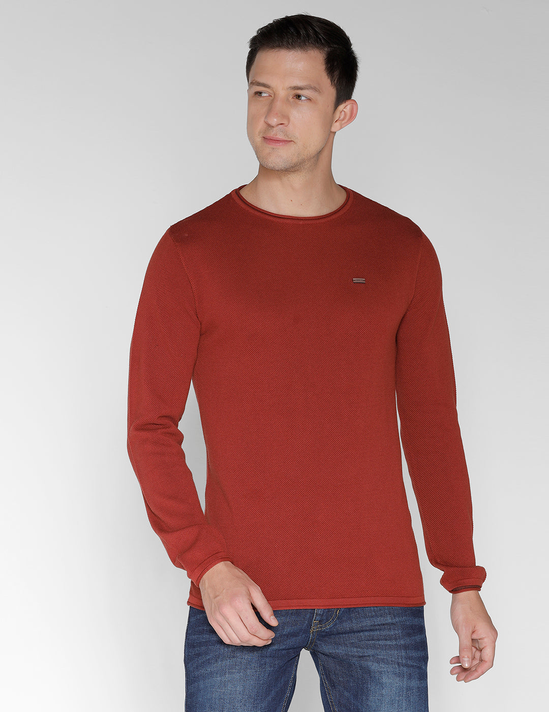 Identiti Full Sleeve Solid Slim Fit Cotton Casual Round Neck T-Shirt For Men