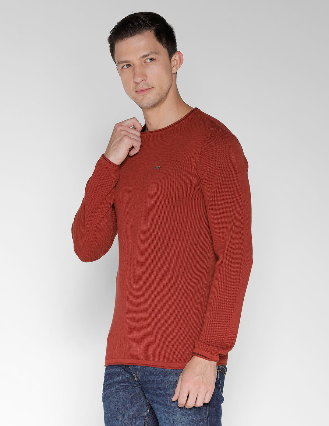 Identiti Full Sleeve Solid Slim Fit Cotton Casual Round Neck T-Shirt For Men